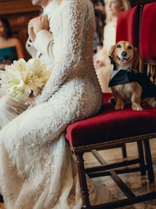 С 1 марта в клубах фитнес хаус изменены названия групповых тренировок. 01