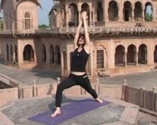 Позы стоя с опорой на две ноги. 03