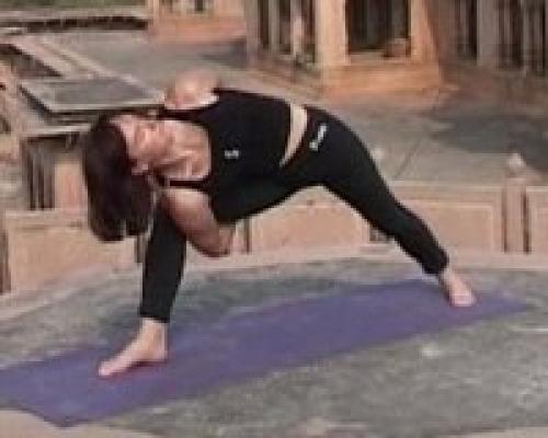 Позы стоя с опорой на две ноги. 06