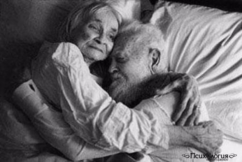 Полезные растения для вашего дома.