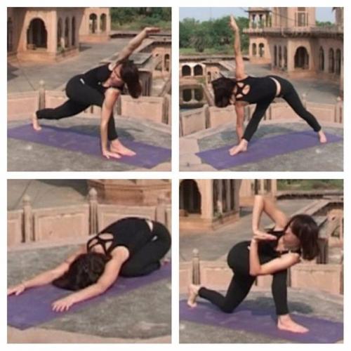 Позы стоя с опорой на две ноги. 09