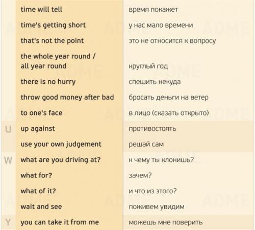 Как вырастить клубнику на даче? 02