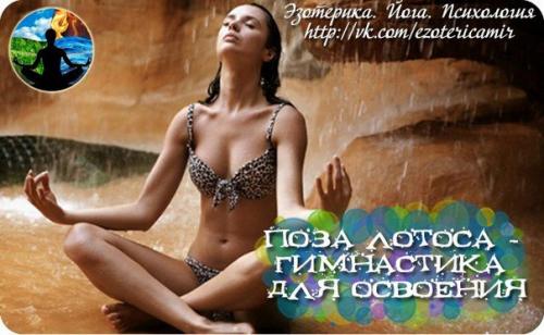 Поза лотоса - гимнастика для освоения.