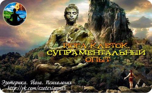 Йога клеток.  Супраментальный опыт.