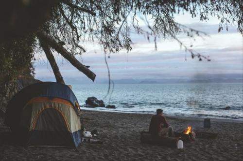 Наблюдения психологов показывают, что в личности проявляются две стороны: разумная и эмоциональная.