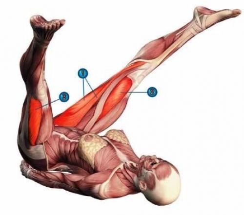 Урдхва Дханурасана. Урдхва прасарита падасана и пурва халасана.