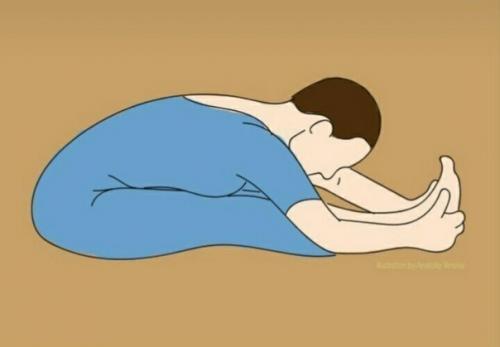 Йога для начинающих в домашних условиях. Йога для начинающих в домашних условиях.