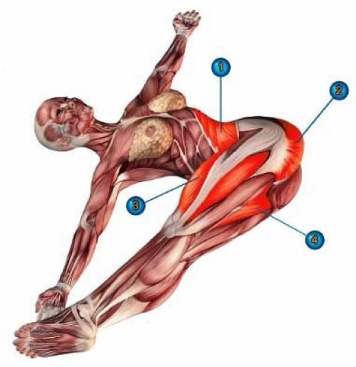 Джатхара паривартанасана.
Поза поворота живота.