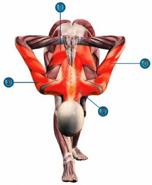 Паршвоттанасана техника выполнения. Паршвоттанасана.
Для снятия мышечного напряжения.