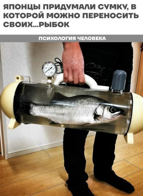 В Японии разработали необычную сумку, внутри которой рыба во время перевозки продолжает плавать и дышать, словно находится в небольшом аквариуме. 
