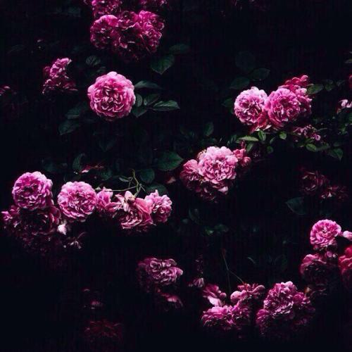 30 самых полезных продуктов для тела.