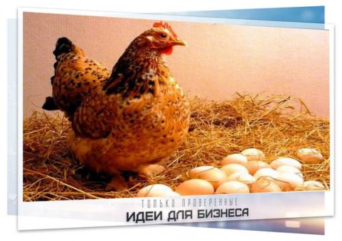 Правильный режим питания. Правильный режим питания.