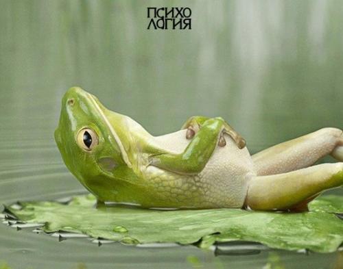 Что будет, если бросить лягушку в кастрюлю с горячей водой? 

