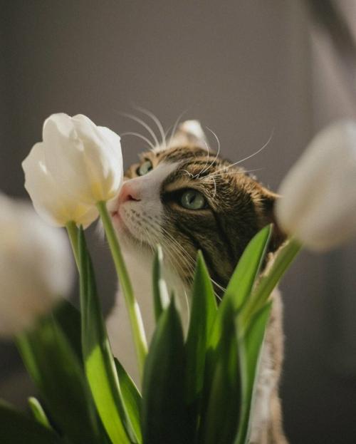 7 упражнений, которые помогут проснуться лучше, чем кофе.
