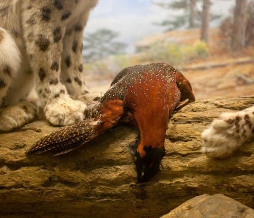 Наиболее известная серия фотографий Эммы кейсель называется В Состоянии Покоя.