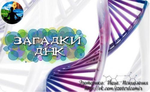 Загадки днк.  Пожалуй, теория Дарвина о происхождении человека скоро будет подвергнута сомнениям.