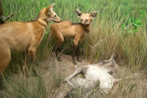 Наиболее известная серия фотографий Эммы кейсель называется В Состоянии Покоя. 03