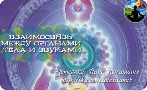 Взаимосвязь между органами тела и звуками. 

