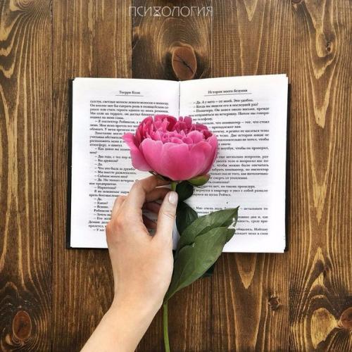 Топ - 15 книг с отличным чувством юмора?