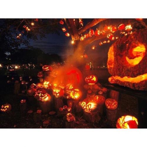 Ахлуофобия (никтофобия, скотофобия, эклуофобия) - боязнь темноты, ночи.