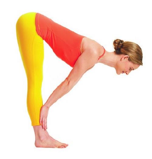 Солнечный круг. Ежедневно практикуйте приветствие солнцу (сурья намаскар) и вы будете излучать тепло, покой и благополучие. 05