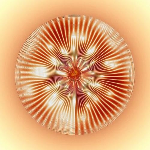 Песни дельфинов и китов в визуальных мандалах. 05 Песни дельфинов и китов в визуальных мандалах. 05