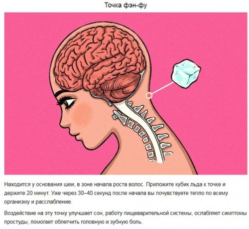Активные точки, которые управляют нашим организмом. 05