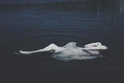 Перфекционизм, уязвимость и неверные выводы.