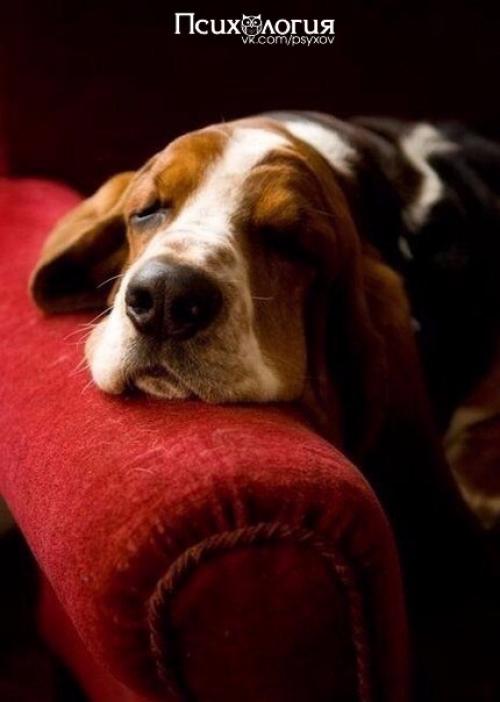 А ведь иногда, чтобы почувствовать себя счастливым, достаточно всего - навсего чашечки горячего, ароматного кофе в компании собственных мыслей …. 04