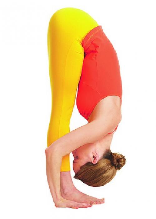 Солнечный круг. Ежедневно практикуйте приветствие солнцу (сурья намаскар) и вы будете излучать тепло, покой и благополучие. 04