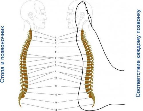 4 правила ужина для похудения. 04