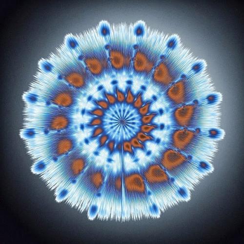 Песни дельфинов и китов в визуальных мандалах. 02 Песни дельфинов и китов в визуальных мандалах. 02