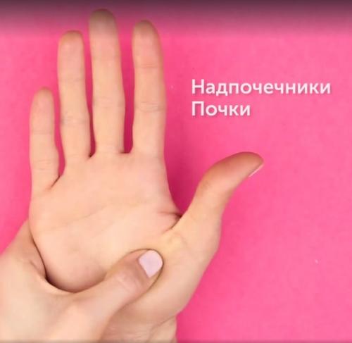 Активные точки, которые управляют нашим организмом. 02