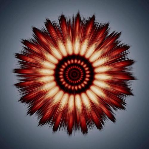 Песни дельфинов и китов в визуальных мандалах. 08 Песни дельфинов и китов в визуальных мандалах. 08