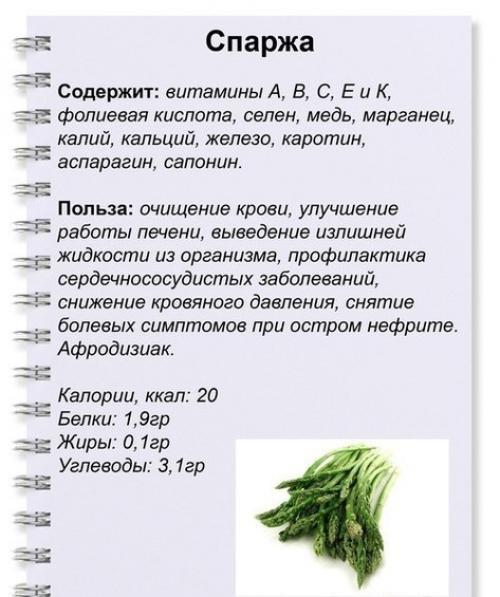 Полезные зеленые продукты. 05