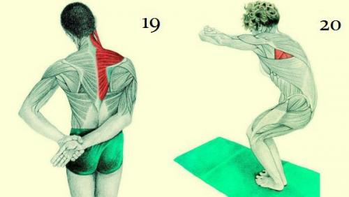 20 упражнений для гибкости всего тела: это лучшее, что можно сделать для роста и укрепления мышц! 09