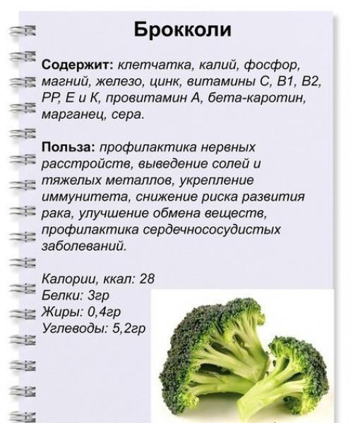 Полезные зеленые продукты. 04