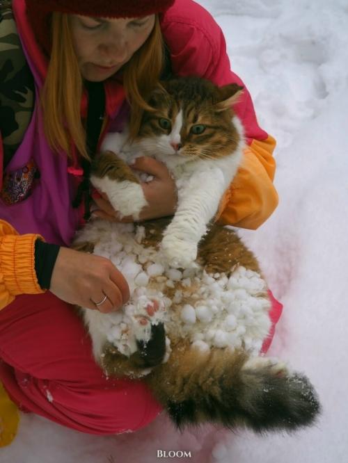 Это Анна и её кот плюха! 03