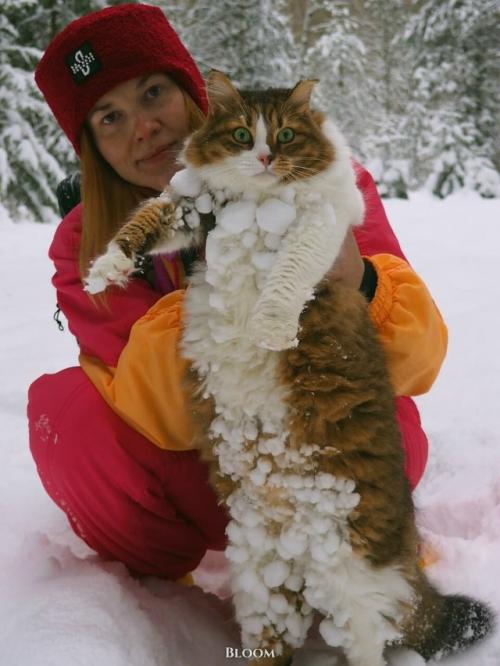 Это Анна и её кот плюха! 

