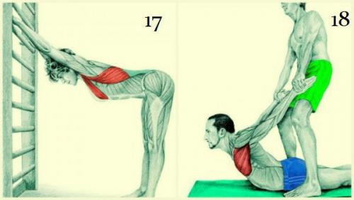 20 упражнений для гибкости всего тела: это лучшее, что можно сделать для роста и укрепления мышц! 08