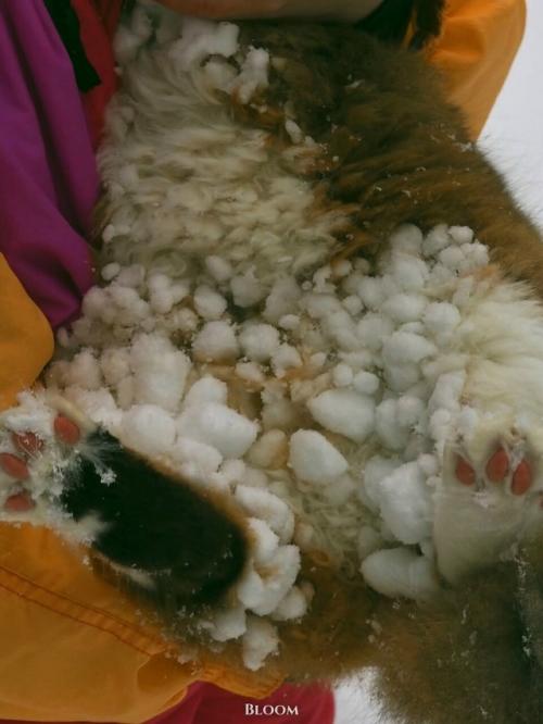 Это Анна и её кот плюха! 01