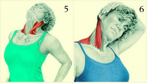 20 упражнений для гибкости всего тела: это лучшее, что можно сделать для роста и укрепления мышц! 02