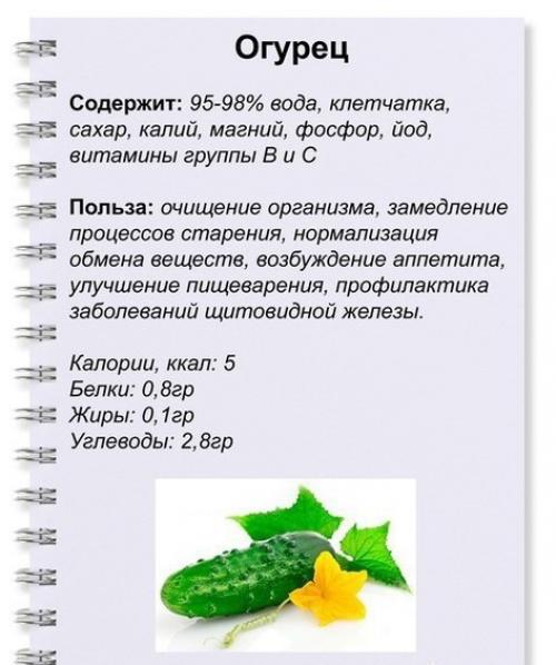 Полезные зеленые продукты. 01