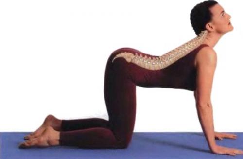 Всего одна асана вашей больной спине поможет! 01