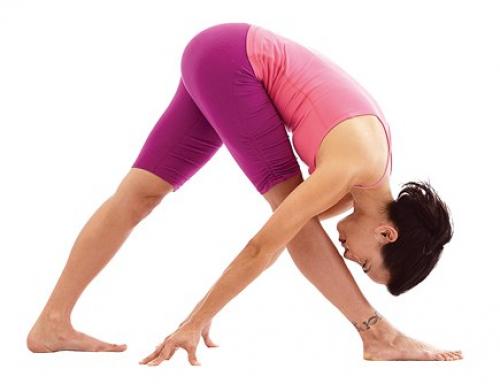 Журавлиная песня. Чтобы почувствовать легкость в уме и теле, время от времени устраивайте себе курс интенсивного скручивания. 03 Журавлиная песня. Чтобы почувствовать легкость в уме и теле, время от времени устраивайте себе курс интенсивного скручивания. 03