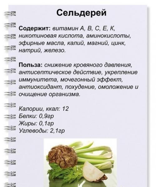 Полезные зеленые продукты.