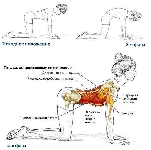 Всего одна асана вашей больной спине поможет! 04