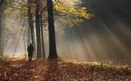 Уходите вовремя ….