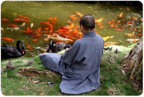 Вэйви грэйви рассказал мне, как один человек спросил у мастера дзэн: