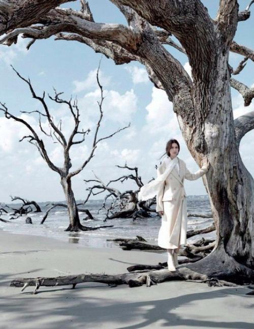 Правила лидера.  1. в любом деле ставьте перед собой конкретные цели.